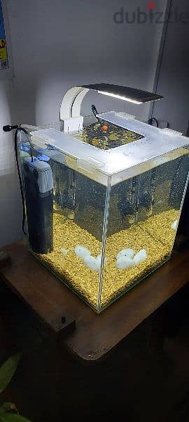 Aquarium 20 Litre 3