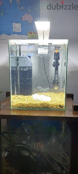 Aquarium 20 Litre 4