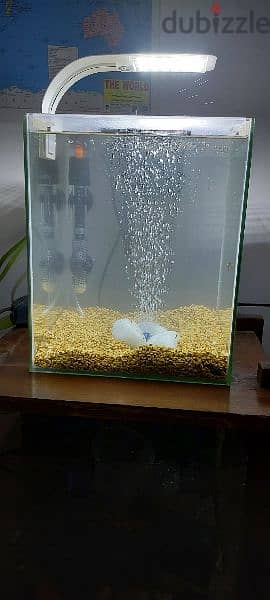 Aquarium 20 Litre 5