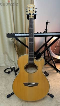 Washburn EA20 Semi Acoustic Guitar