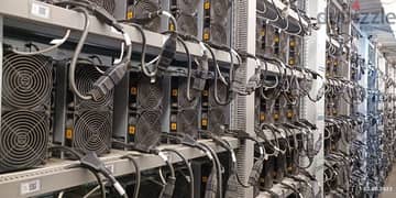 ASIC MINING HOSTING AVAILABLE- BD 80 INCLUDING ELECTRICITY