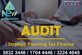 Audit Strategy Planning Tax Finance 0