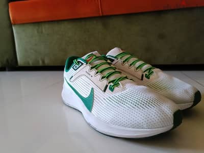 Nike Air zoom Pegasus 40 limited edition