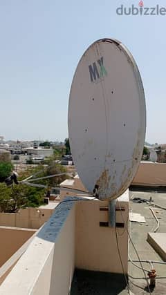 MX  Dish Big size