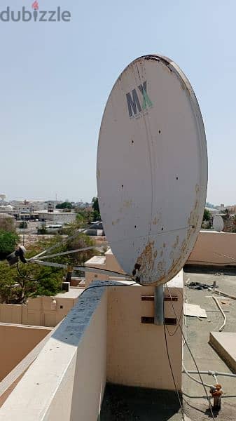 MX  Dish Big size 1