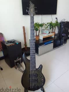 Traben Chaos 5, active 5 String Bass Guitar 0