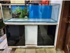 BIG AQUARIUM TABLE