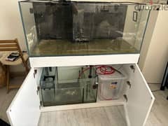 Reef Tank for Sale with everything 0