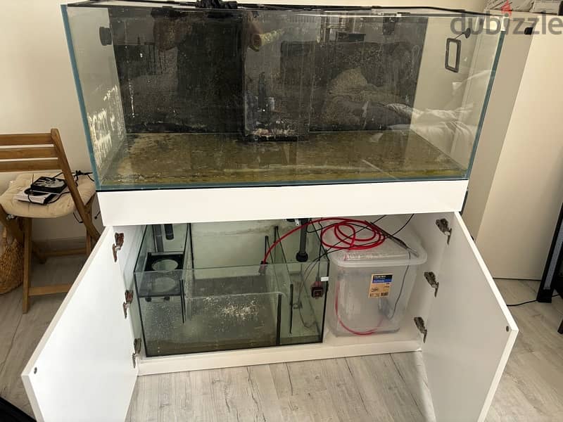 Reef Tank for Sale 0