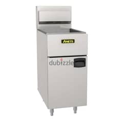 ANETS DEEP FRYER 0