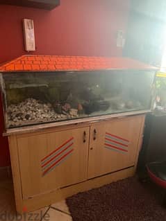 Big Aquarium ,stand and accessories