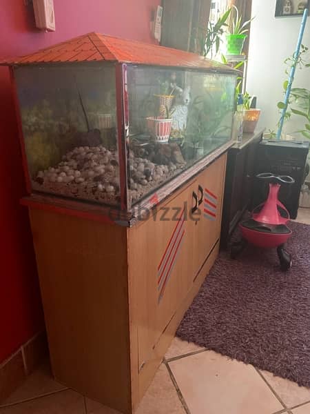 Big Aquarium ,stand and accessories 1