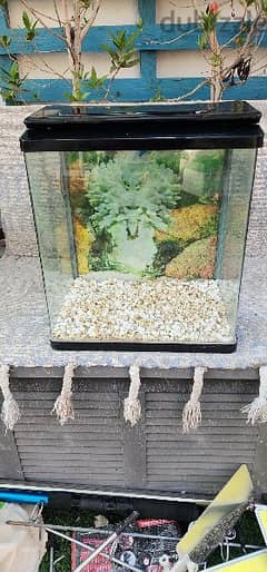 fish tank for sale 0