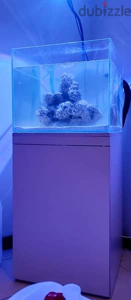 MARINE AQUARIUM   60 x 60  KESSIL professional marine LIGHT 0