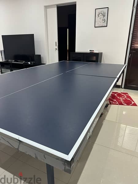 Table tennis 5