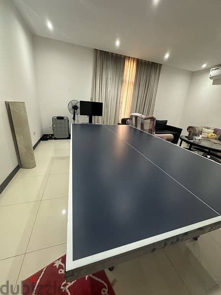 Table tennis 6