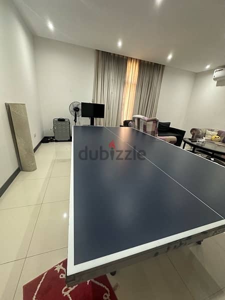 Table tennis 4