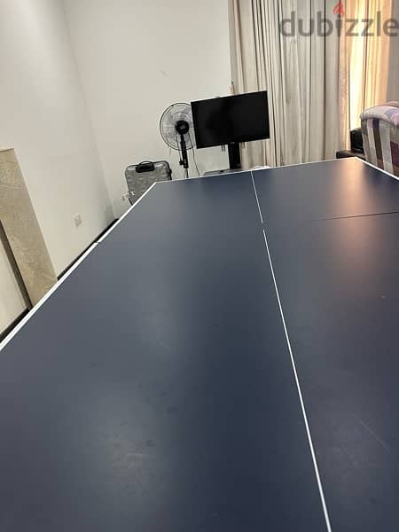 Table tennis 6