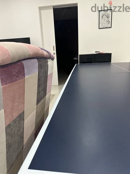 Table tennis 8