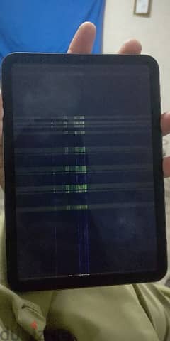 iPad mini 6 in need money