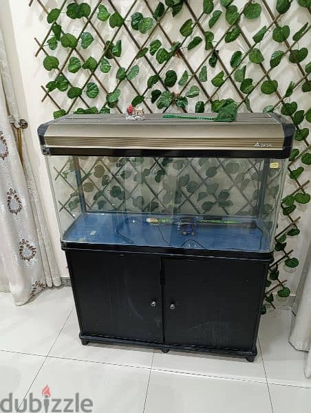 fish aquarium حوض سمك 0