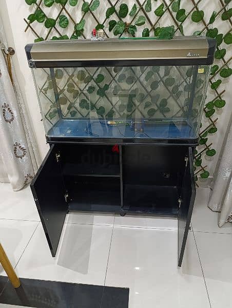 fish aquarium حوض سمك 3