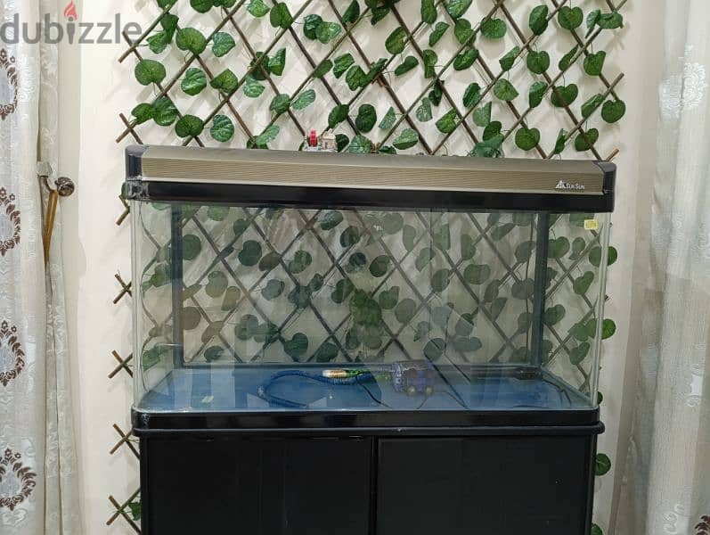 fish aquarium حوض سمك 4