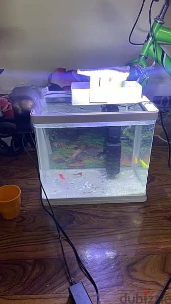 fish tank with all accessories and fish 1