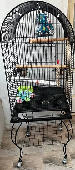 large bird cage for sell 0