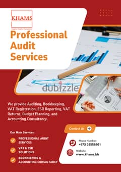 Professional Audit Services, Bookkeeping & ESR/Vat Registration 0