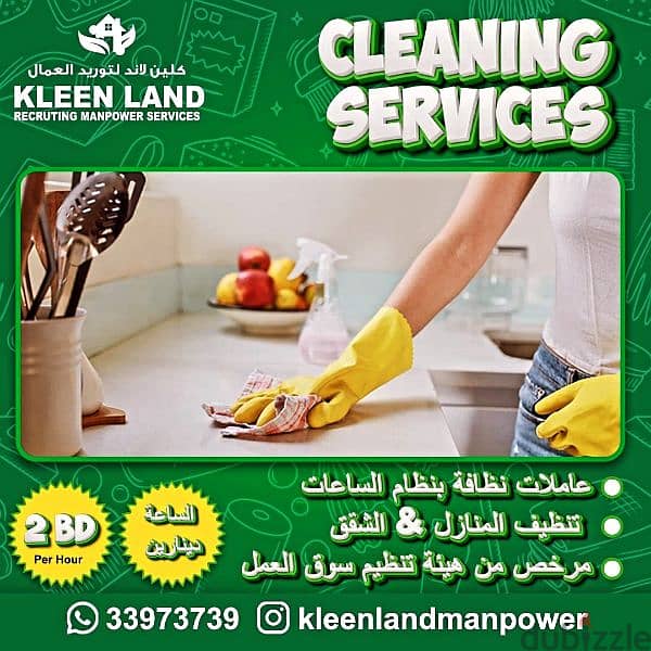 2 bd cleaning services per hour 1