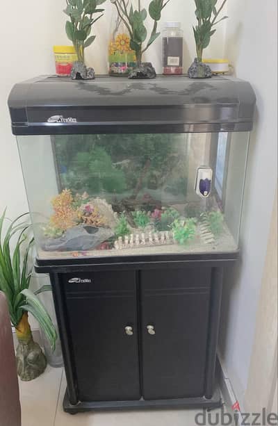 fish tank for sale