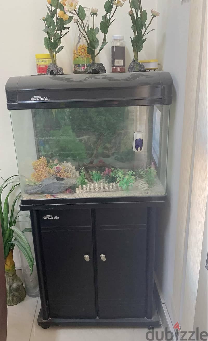 fish tank for sale 1