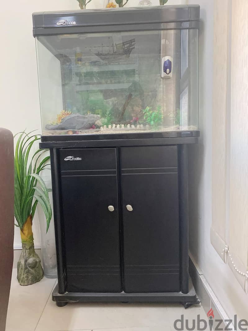 fish tank for sale 2