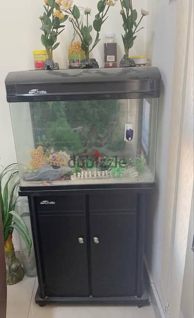 fish aquarium for sale