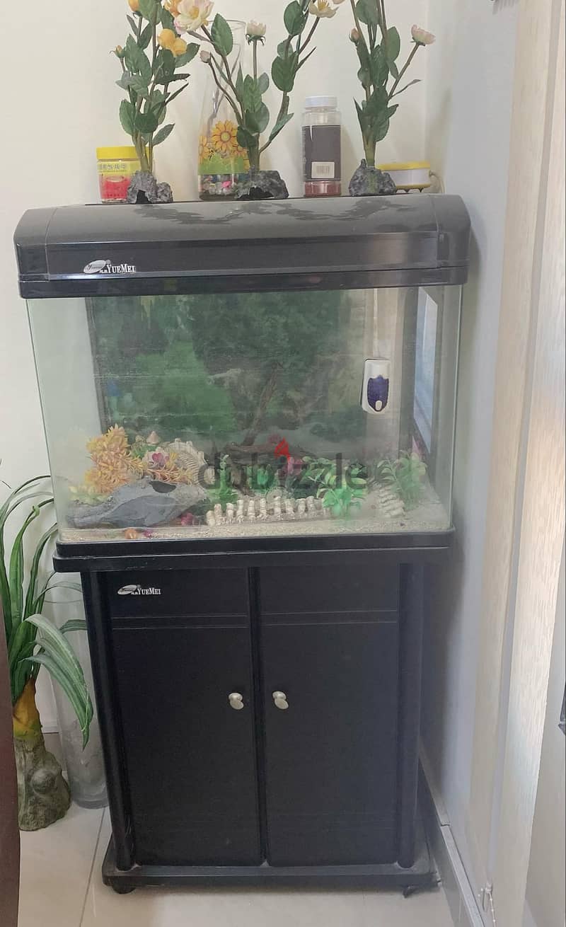 fish aquarium for sale 0