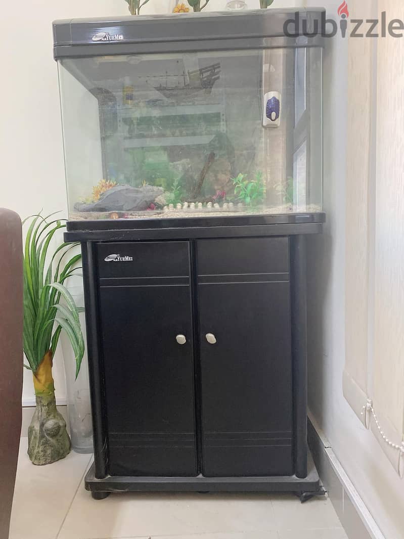 fish aquarium for sale 2