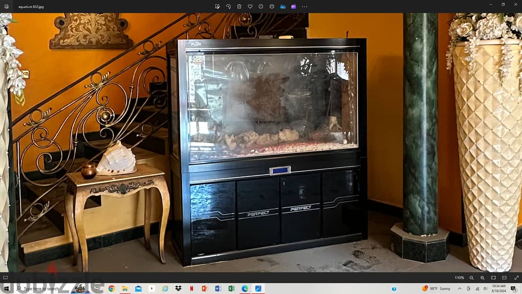 fish aquarium for sale 2