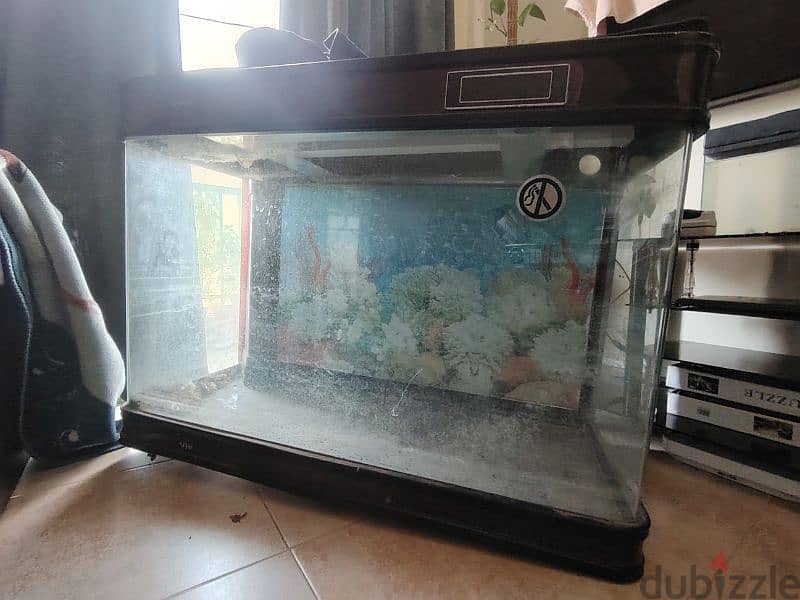 big fish tank cheap price urgent sale!! 0