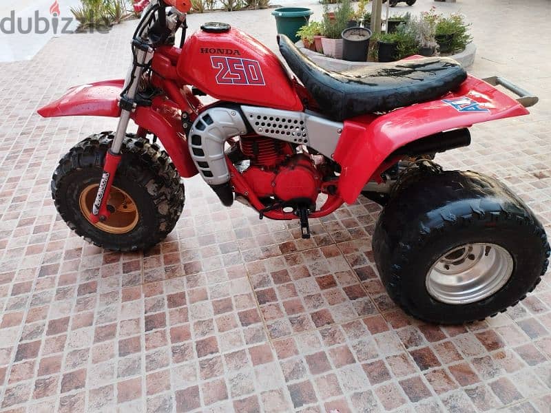 1982 Honda ATC250r توستروك 1