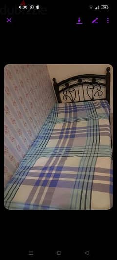 Single bed without mattress