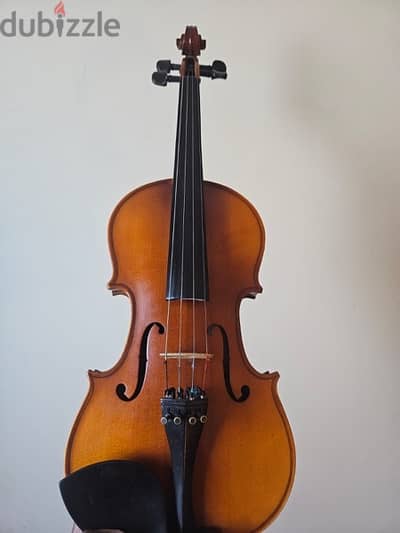 violin