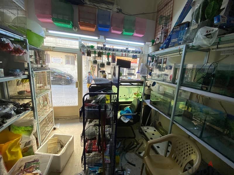 Aquarium Shop for Sale 2