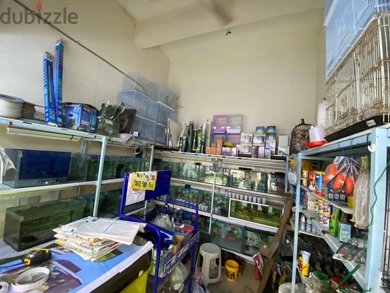 Aquarium Shop for Sale 3