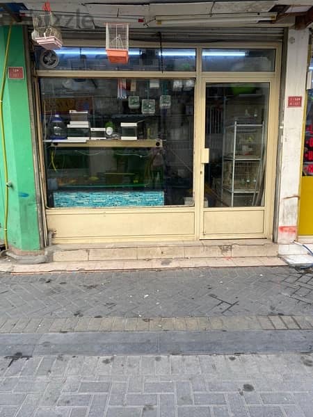 Aquarium Shop for Sale 4