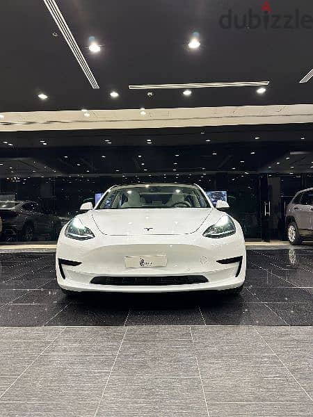 Tesla Model 3 2021 0