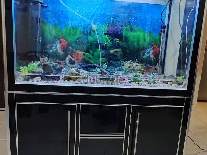 Fish tank and accessories for sale best sale