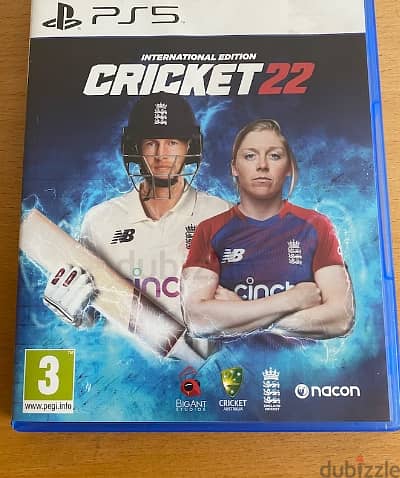 Cricket 22