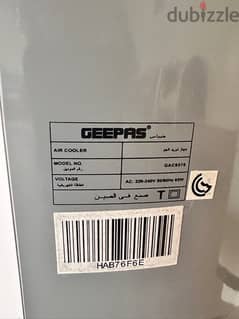 Geepas