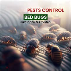 pest control cocroches'bed'bugs'mosquito'flat'villa cleaning services